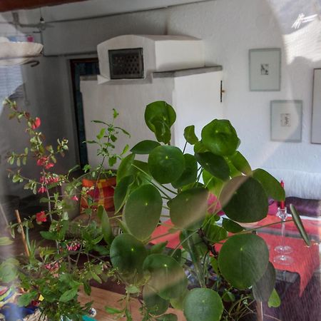 Bed And Breakfast Da Toldo Russo Esterno foto