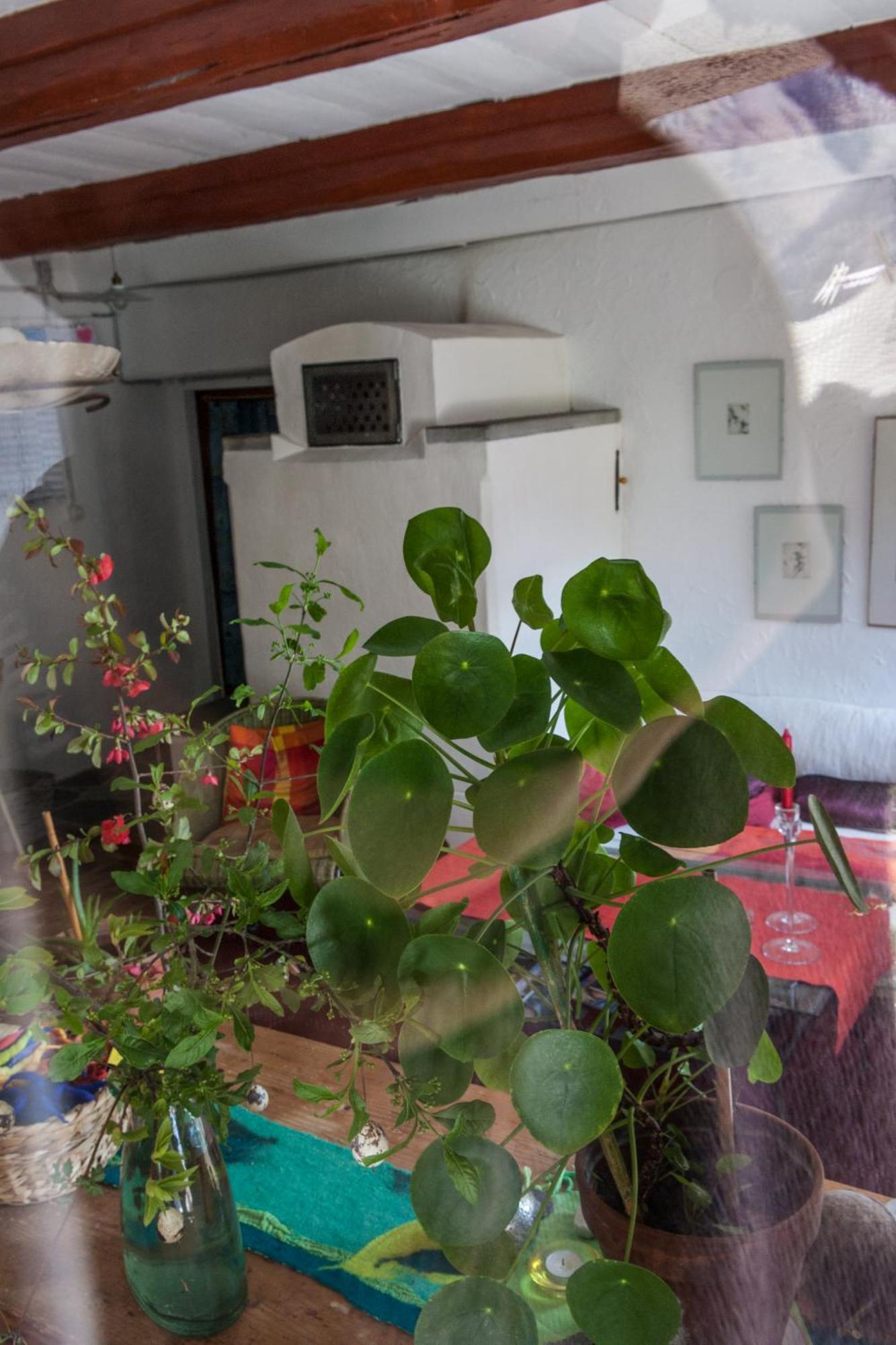 Bed And Breakfast Da Toldo Russo Esterno foto