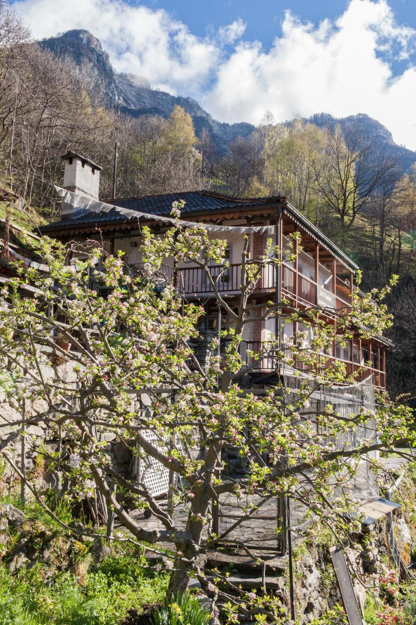 Bed And Breakfast Da Toldo Russo Esterno foto